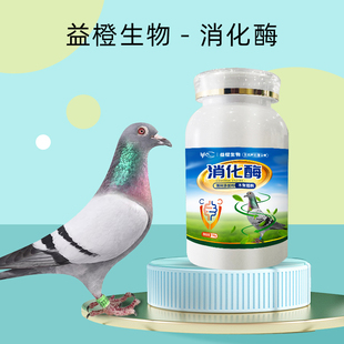 益橙消化酶赛鸽种鸽肉鸽用消化增加采食量