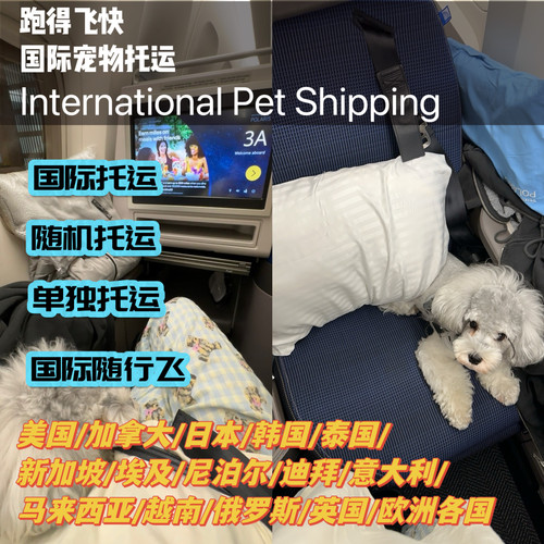 国际宠物托运宠物出国回国宠物出国血清出境入境美国欧洲工作犬
