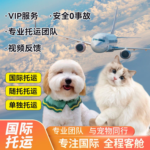 国际宠物托运猫狗出国进客舱随机