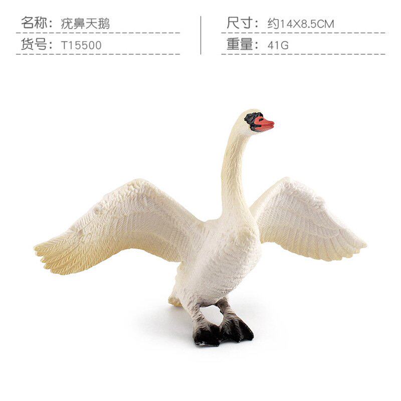 仿真森林鸟类动物鹈鹕疣鼻天鹅孔雀模型桌面静态装饰摆件玩具S82