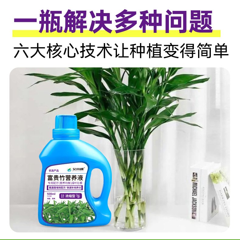 富贵竹专用浓缩营养液绿植大盆栽客厅小盆栽水培园艺肥HB55