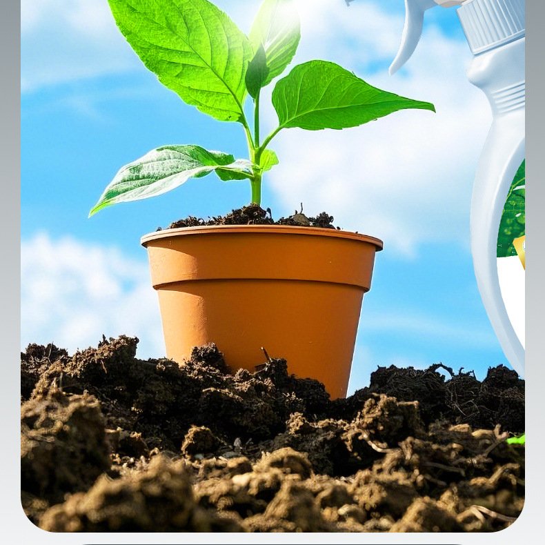 植物菌菌净枯草芽孢杆菌微生物菌肥宠物园艺花卉盆栽花肥料HB49