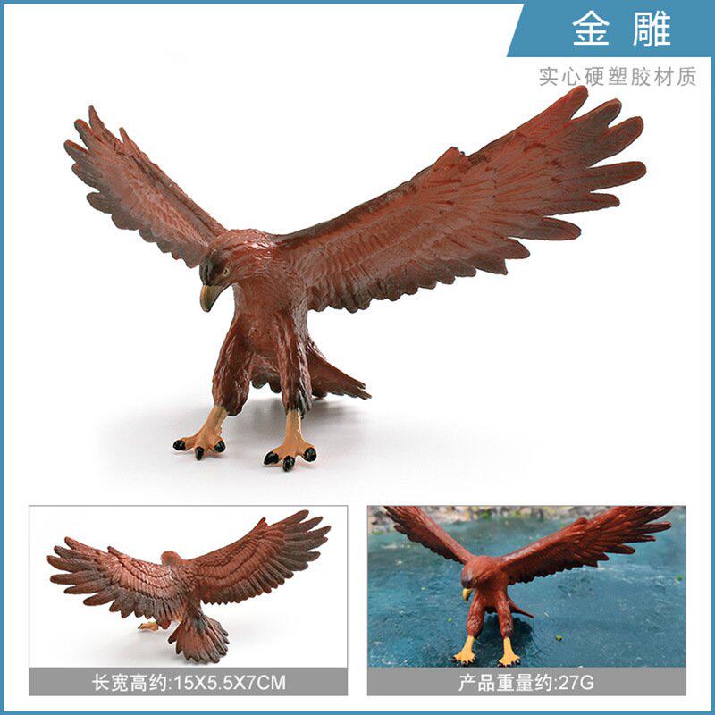 儿童认知仿真飞禽鸟类动物鱼鹰金雕摆件桌面装饰模型玩具S47