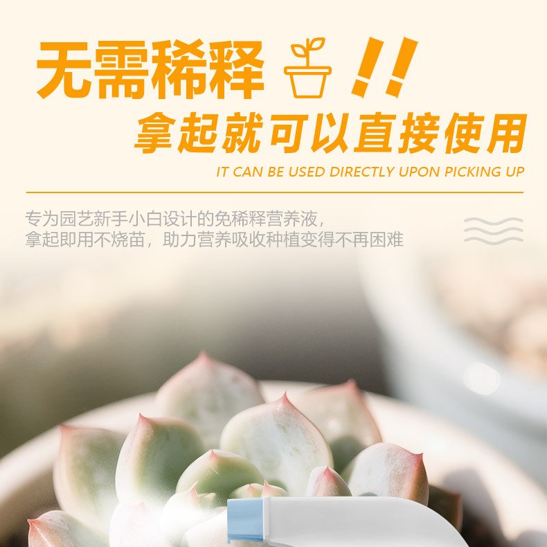 多肉爆芽芽优芽素桌面阳台小盆栽绿植花卉专用型多肉爆芽素HB65