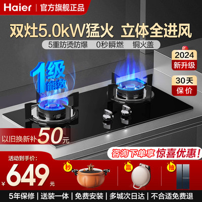 海尔5.0kw全进风燃气灶