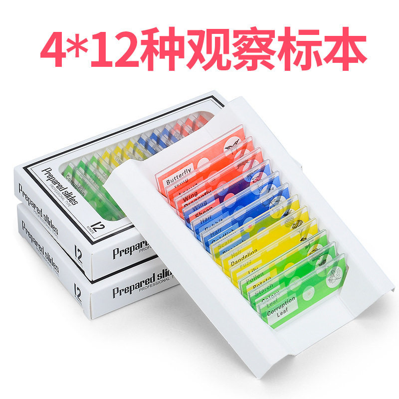 儿童显微镜标本切片动物植物昆虫图片
