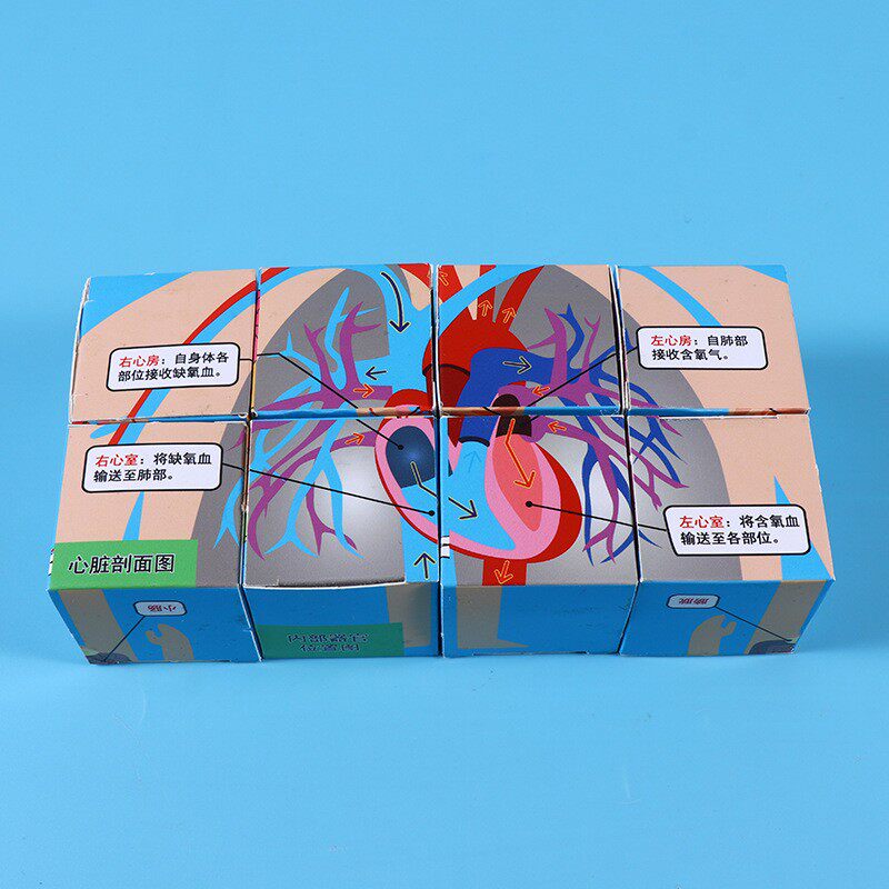 婴儿童玩具数字套盒叠叠乐堆2层层叠杯3岁到纸质套塔宝宝早教益智