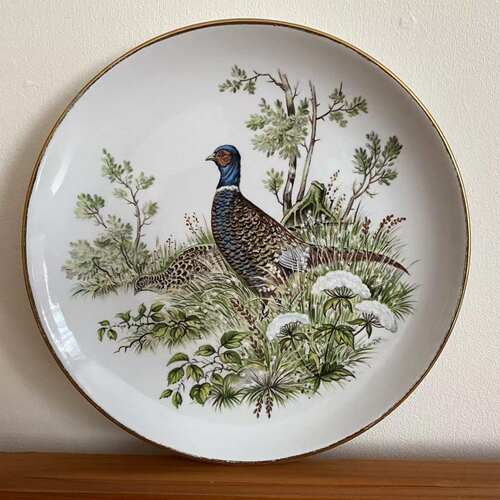 Royal Tudor Ware 皇家都铎陶器 Ironstone鸟类收藏盘 英国装饰碟