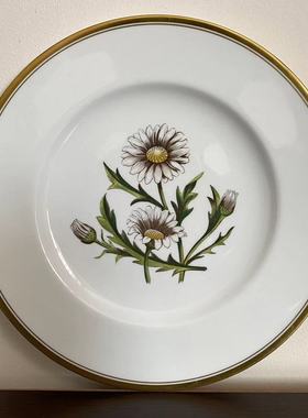 Royal Worcester 皇家伍斯特 Daisy 1963年雏菊艺术家手绘碟 赏盘