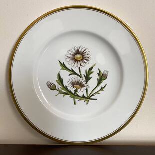 Daisy Royal Worcester 皇家伍斯特 赏盘 1963年雏菊艺术家手绘碟