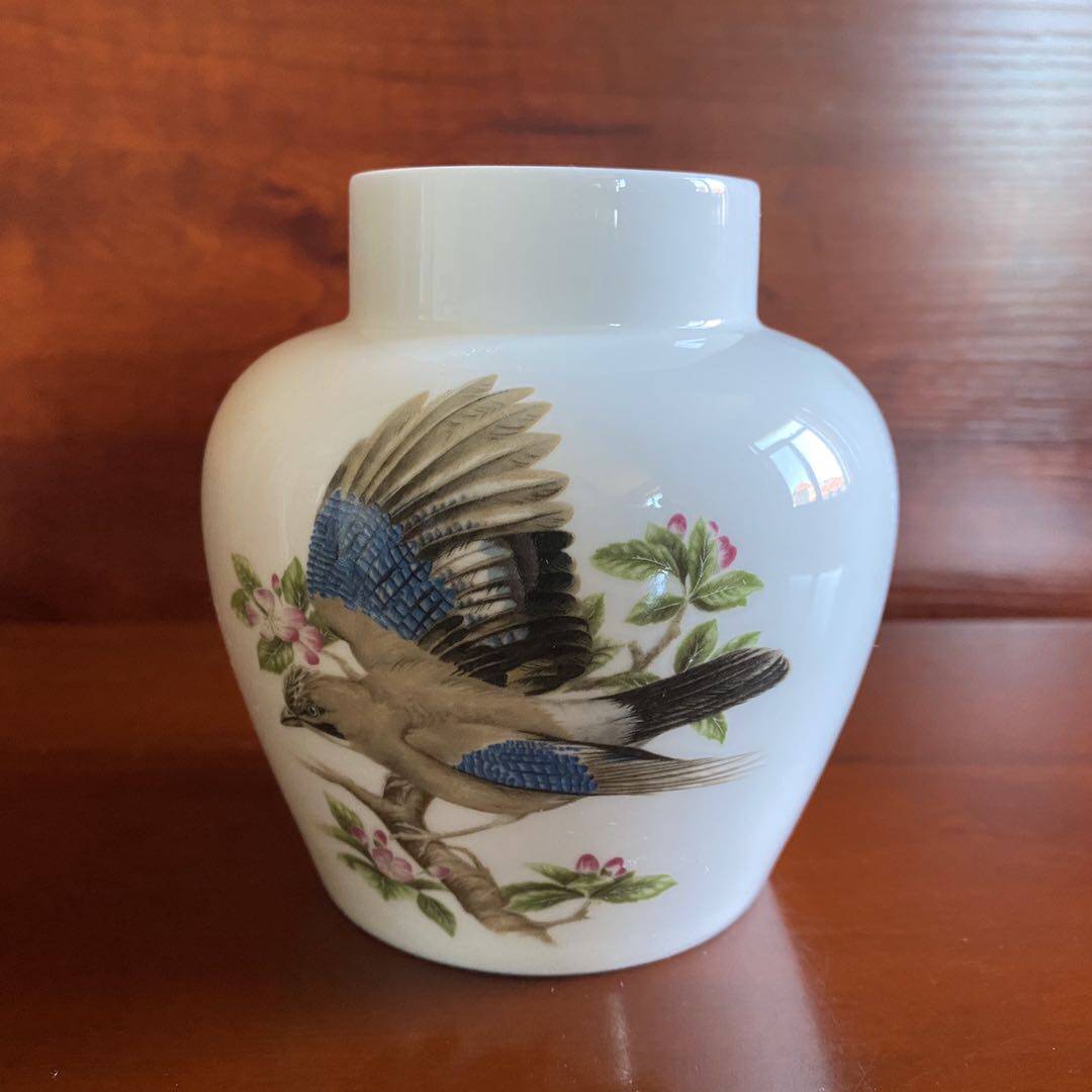 COALPORT 科尔波特 The Jay 收藏瓷瓶 骨瓷花瓶 松鸦花卉摆件瓷罐