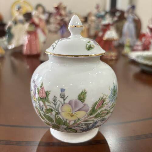 AYNSLEY 安兹丽 Wild Tudor 都铎王朝花卉描金瓷罐 咖啡罐 茶盒