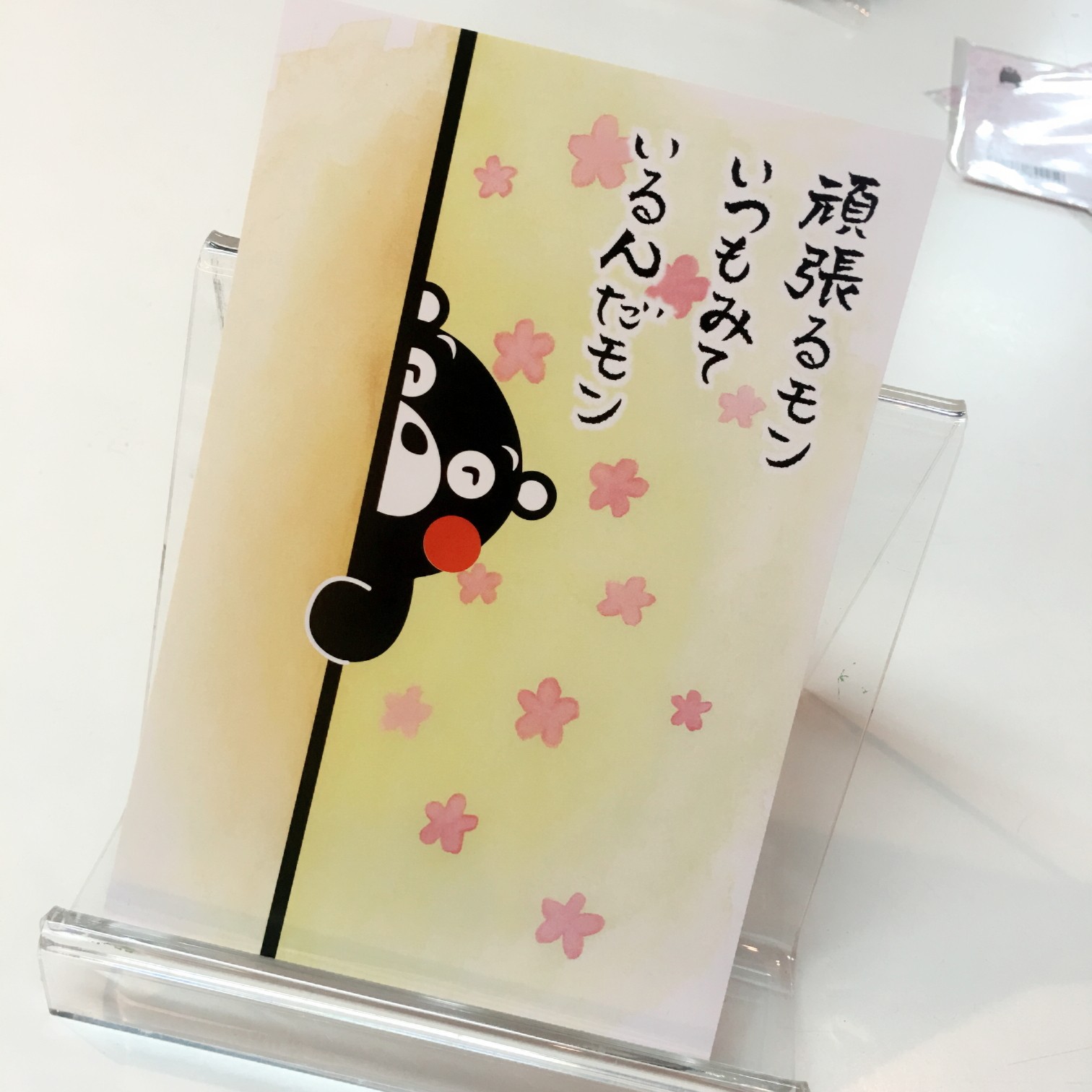 日本进口正版熊本熊生日应援可爱贺卡/明信片