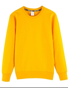 外套上衣 ins情侣款 B2023秋冬加绒男士 卫衣圆领刺绣宽松百搭套头衫