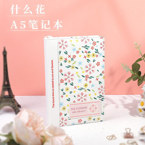 a5笔记本硬皮本子高颜值女生创意原创文艺空白大学生考研读书笔记清新简约作业本手账本工作记事本成人日记本