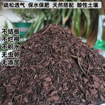 黄栌金弹子盆栽果树专用营养土