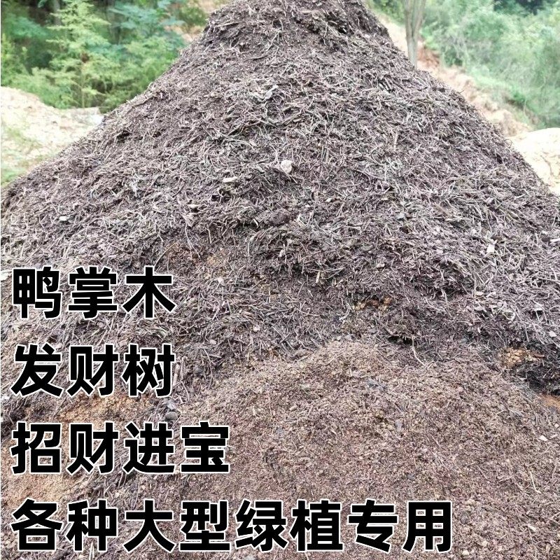 发财树鸭脚木专用土绿植盆栽营养土大型绿植花卉铺底有机种植土壤