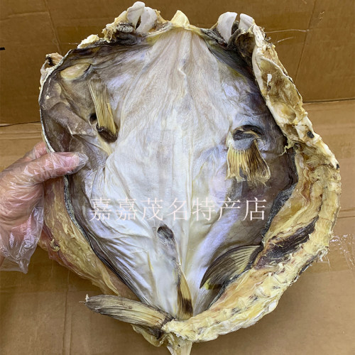 电白特产天然淡晒大号海河豚鱼干煲汤鸡泡龟鱼海味干货250g包邮