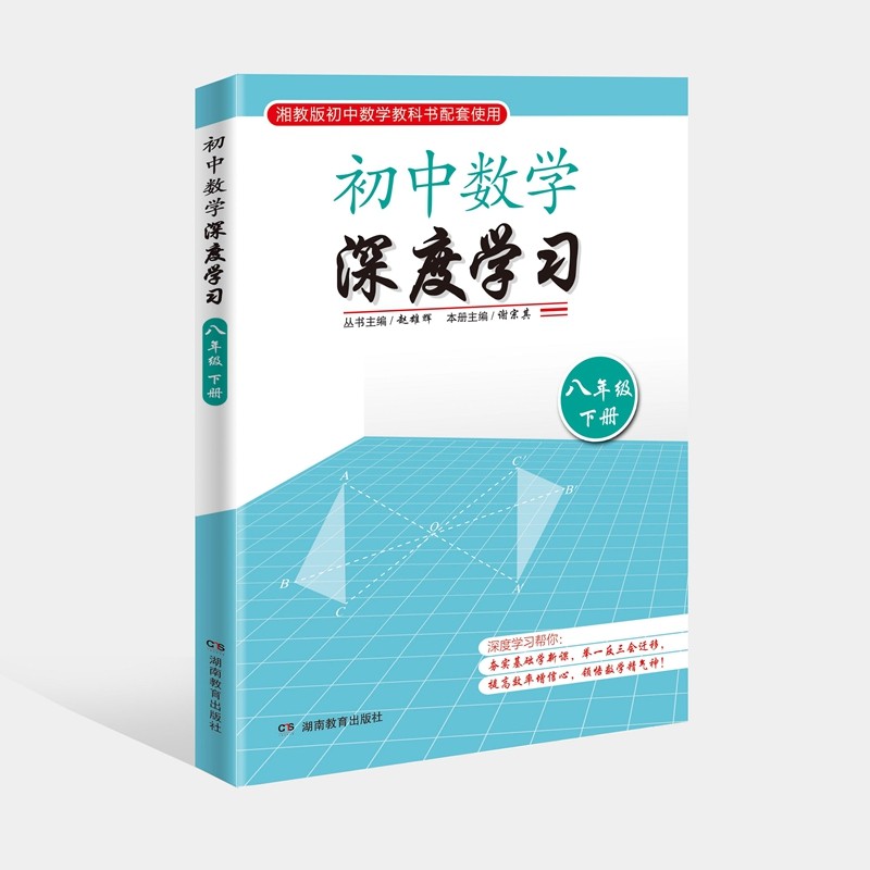 初中数学 深度学习 八年级下册 湘教版初中数学配套使用 （全新教育理念与学习方式帮你提高效率）