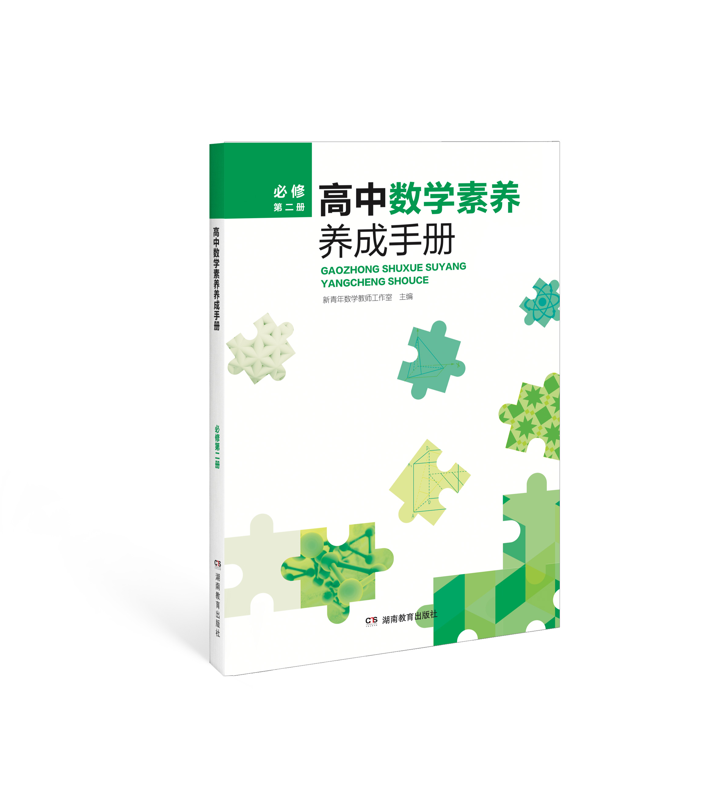 高中数学素养养成手册:必修.第二册