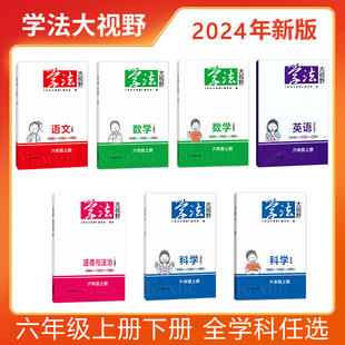 2024版学法大视野小学六6年级上册下册 全学科任选 学习套装 小砂糖橘同款练习册 被网友誉为湖南省省书 湖南教育出版社正版