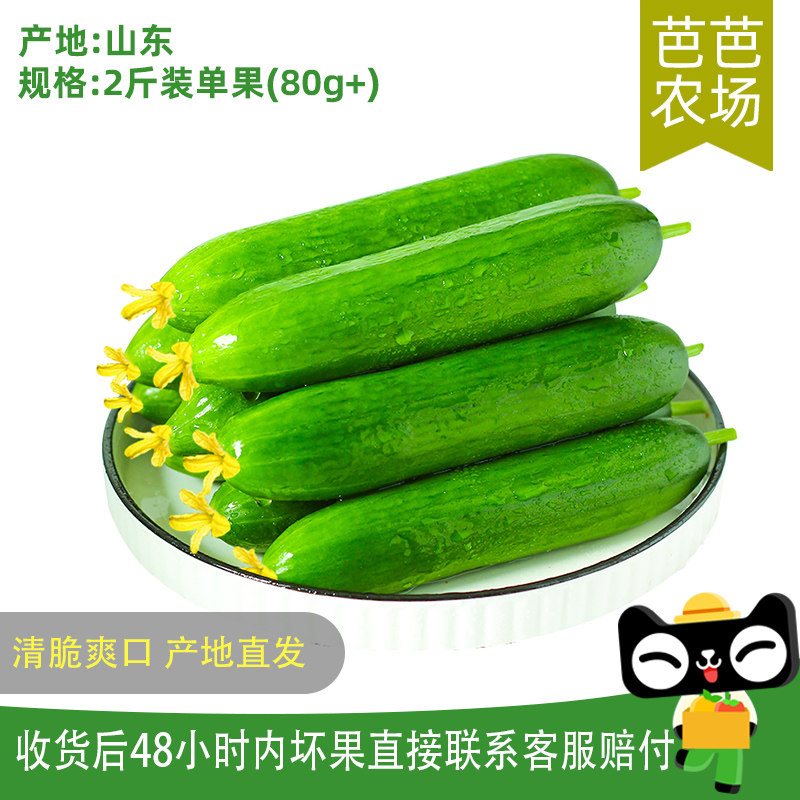【芭芭农场兑换专享】寿光蔬菜水果黄瓜2斤新鲜小青瓜生吃清脆,水产肉类/新鲜蔬果/熟食,黄瓜,淘宝优惠券,粉丝福利购,淘宝优惠卷
