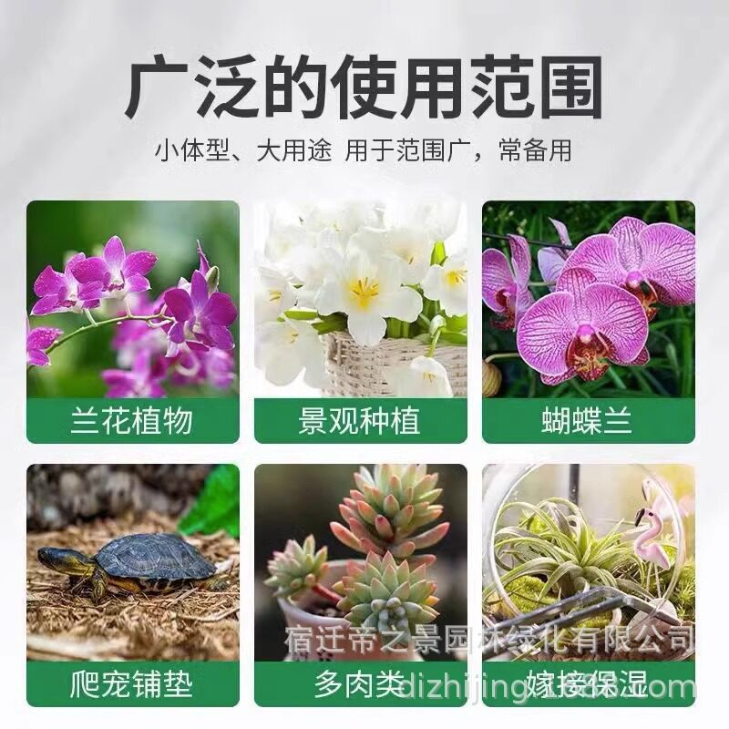 种植蝴蝶兰水苔辅料苔藓干水苔兰花食虫植物多肉栽培育苗介质花土