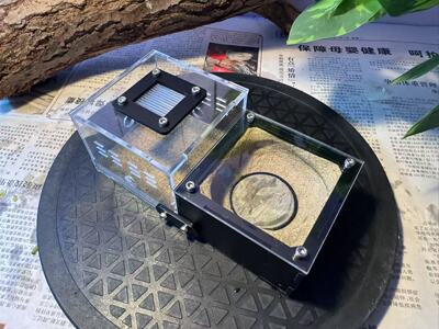 蜜罐巢平面混泥土蚂蚁宠物饲养适牛蚁弓背收获蜜罐小群落无限拓展