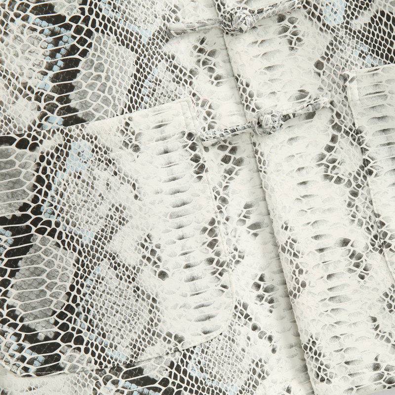 TANG MENS SPRING CHINESE STYLE YOUNG FASHION PRINT NATIONAL TIDE SNAKESKIN PATTERN JACKET HANDMADE CHINESE STYLE BUCKLE TOP