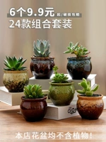 Плохие горшки из грубой керамики, крупного калибра, творческого личности мясистые растительные керамические бассейны Комбинированные специальные предложения очистки предложения