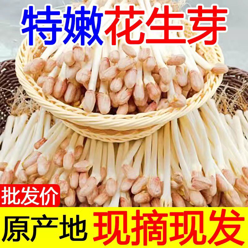 【现摘现发】新鲜花生芽新鲜蔬菜叶菜类