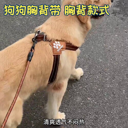 狗狗牵引绳胸背式带牵狗绳背带马鞍式带防挣脱中小型犬狗遛宠物防