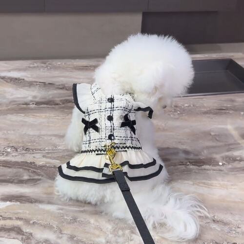 狗狗衣服宠物春夏新款小香风裙猫咪泰迪比熊夏季胸背牵引套装热销