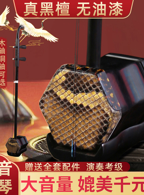 苏州黑檀二胡乐器厂家直销正品入门专业演奏考级铜轴大音量紫檀木