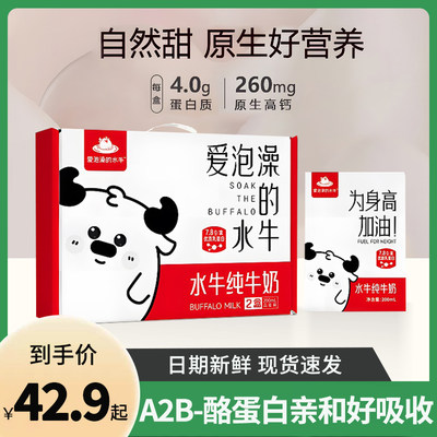 爱泡澡的水牛纯牛奶200ml*10盒学生儿童孕妇营养早餐奶高钙奶整箱