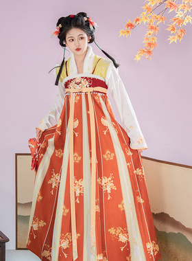 汉尚华莲花间赋原创唐制汉服女款一片式齐胸破裙日常秋冬唐褙子