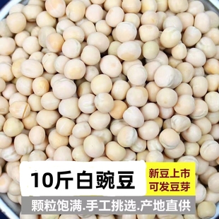 20/10斤白豌豆生豌豆干豌豆发芽酿酒重庆小面磨面鸽粮豌豆包邮