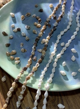 天然海螺珠6*8mm有孔小海螺手工diy串珠手链项链饰品配件材料S307