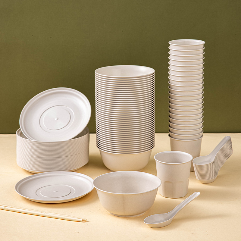 一次性碗筷杯碗碟野餐加厚餐具即弃饭碗食品级家用可降解快餐烧烤
