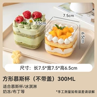 Квадратный мусс, 300 мл, 10 штуки