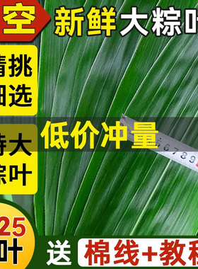 粽叶新鲜棕子特大号现摘包粽专用芦苇干端午节家商批发旗舰店野生