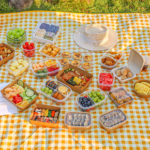 一次性打包盒子带盖食品级商用学生校野餐公司团建出游装食物的碗