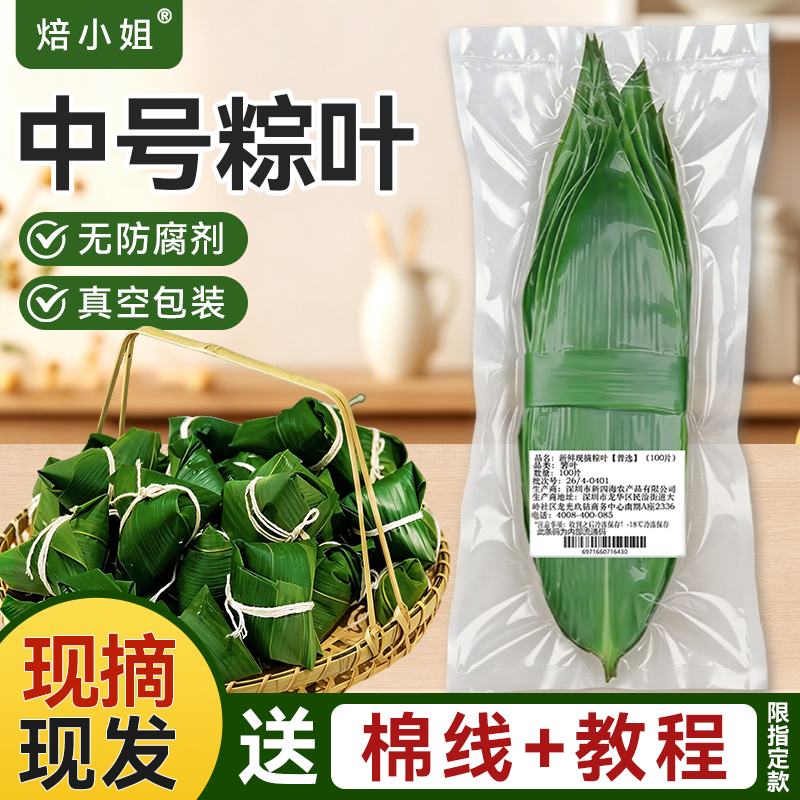 焙小姐粽叶新鲜粽子叶中号现摘发