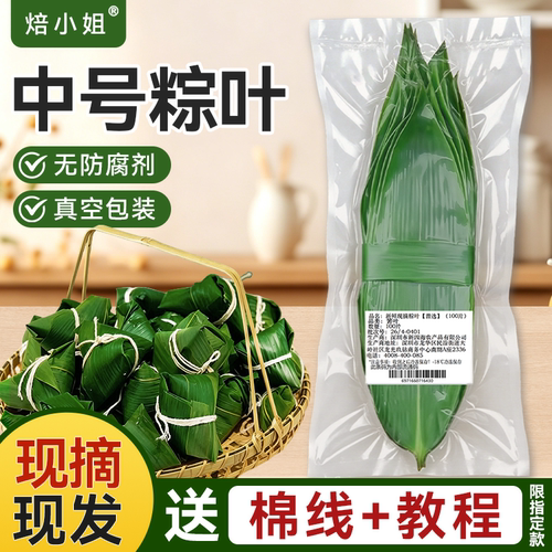焙小姐粽叶新鲜粽子叶中号现摘发