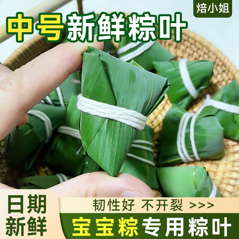 新鲜粽叶中号包棕子专用材料家庭小孩迷你儿童宝宝0添加剂易熟的