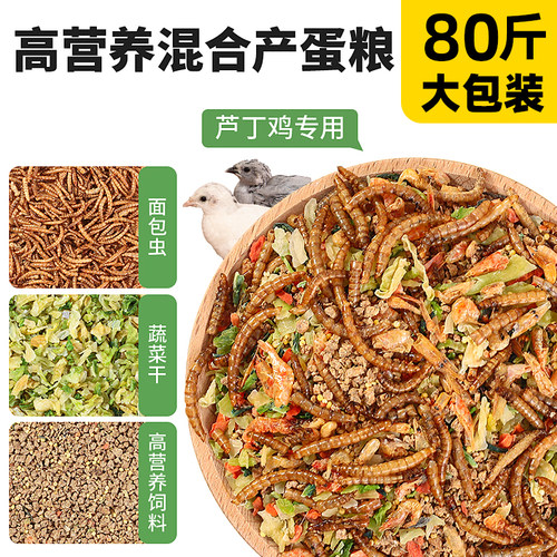 高营养芦丁鸡饲料育雏饲料