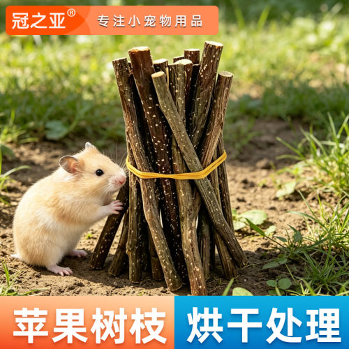 仓鼠磨牙棒兔子磨牙棒神器专用苹果树枝龙猫豚荷兰猪咬木枝仓鼠
