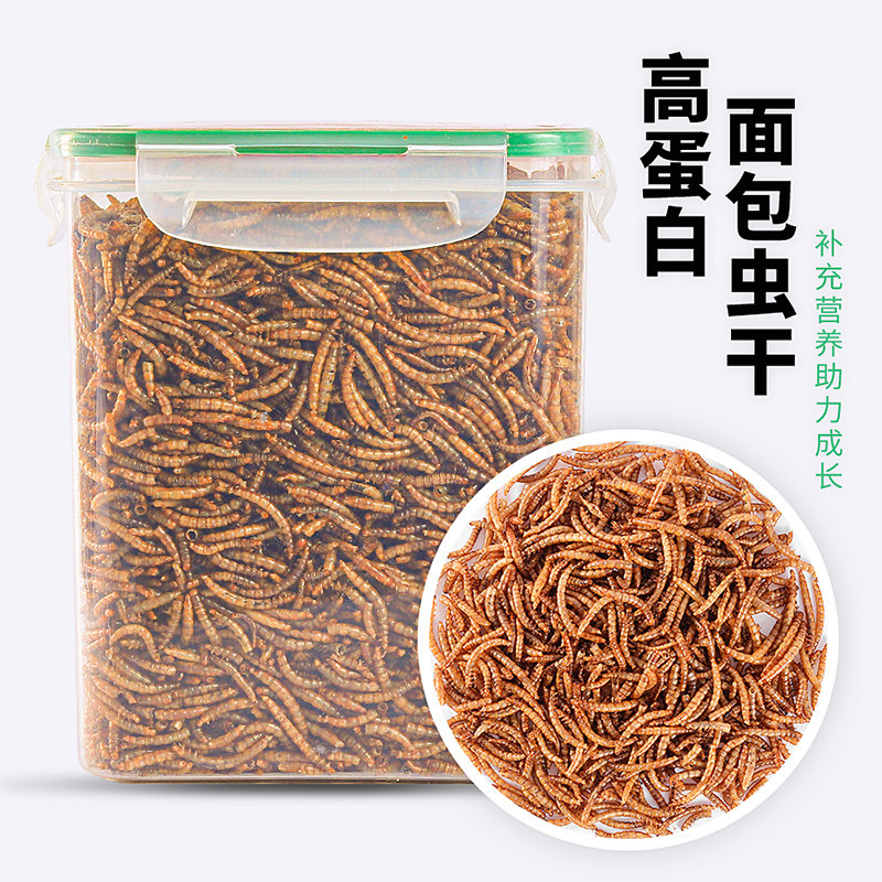 面包虫干仓鼠零食刺猬金丝熊粮食龟粮黄粉虫用品主粮面包虫1,宠物/宠物食品及用品,鼠粮,淘宝优惠券,粉丝福利购,淘宝优惠卷