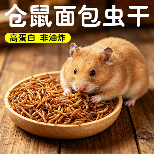 朵冠面包虫干金丝熊仓鼠