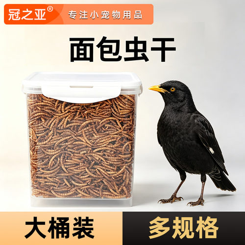 冠之亚八哥鹦鹉面包虫干零食